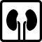 Nieren Icon - Nephrologie